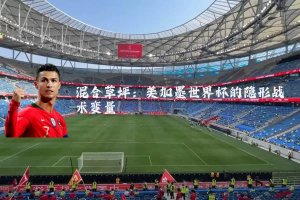 混合草坪：美加墨世界杯的隐形战术变量